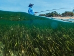 First-ever World Seagrass Day focuses on conservation