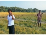 Assam: Seasonal solar fence to protect paddy from wild elephants in crop fields