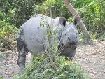 Study shows grassland and agricultural land will increase in Kaziranga by 2050
