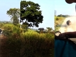 Assam: Rhino chases tourist convoy in Kaziranga National Park