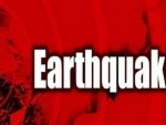 Delhi- NCR feel tremors as mild quake hits Faridabad, no casualty