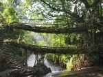 Meghalaya: Living root bridge of Mawlynnong awarded grant by the Graham Foundation