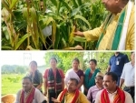 Women-led self-help group successfully cultivates profitable maize varieties in Tripura