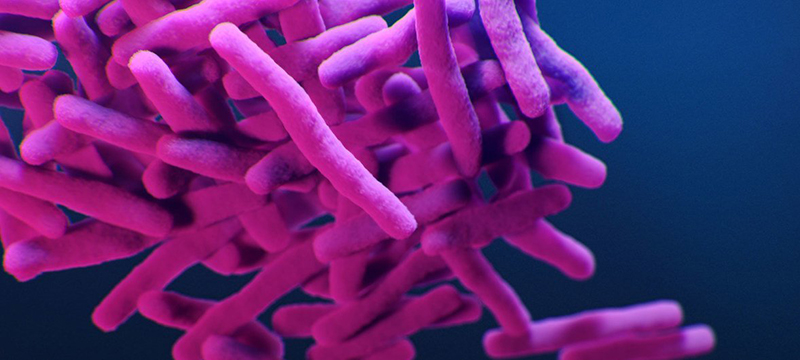 Reduce pollution to combat ‘superbugs’ and other anti-microbial resistance