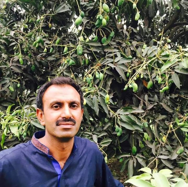 Shahid Hameed Bhutta, an organic mango grower from Pakistan, uses natural methods like green fertilizer and neem extract to grow his mangoes without chemicals.(Photo by Muhammad Irtaza)