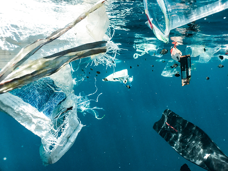 Researchers are now trying to develop plastic that can break down in seawater