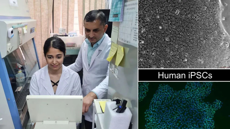 Researchers in Guwahti and Vellore achieve breakthrough in transforming skin cells into stem cells