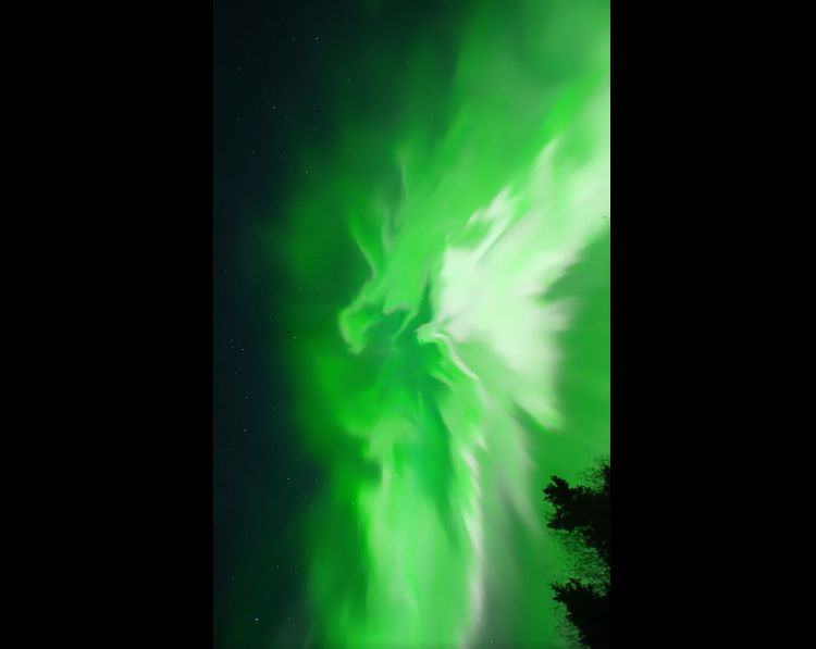 Brilliant site of aurora in US mesmerizes people; Twitteraties share images, videos