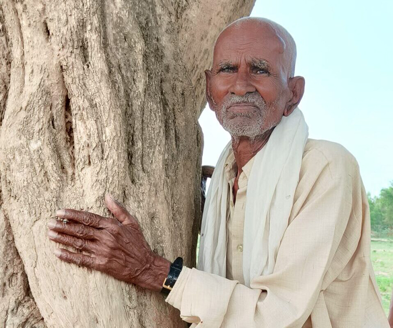 One of the oldest living residents of the village considers the Salvadora trees as part of the collective identity and heritage of the village. Photo by Sat Singh.