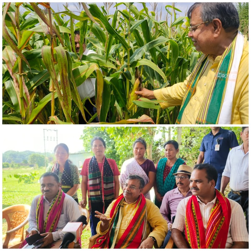 Women-led self-help group successfully cultivates profitable maize varieties in Tripura