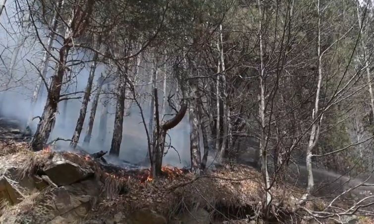 Three injured in Greece's first major wildfire in 2024