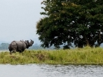 Assam's Kaziranga National Park registers highest revenue in 50 years