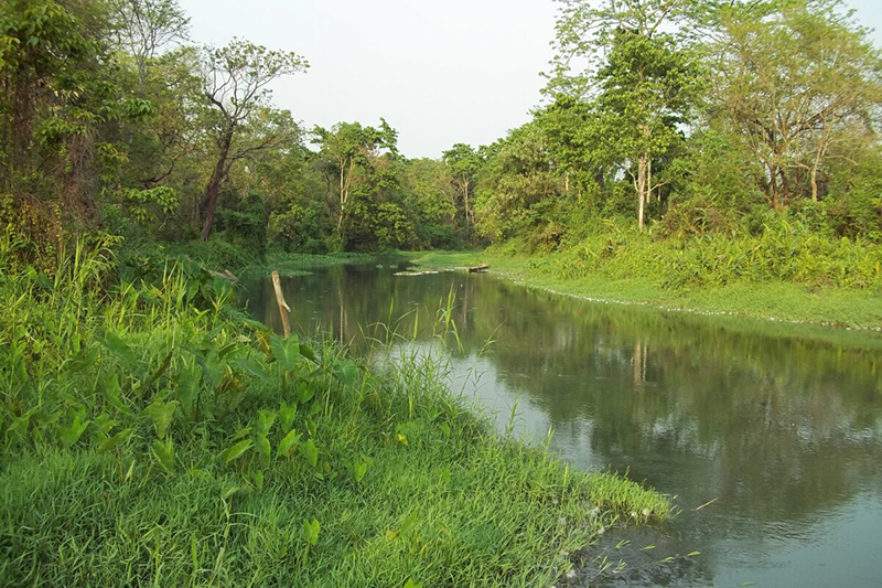 A perennial water source in the Panbari range of Manas named Lafasari. Ample water sources and verdant grasslands, along with other features, make Manas an ideal habitat for rhinos. Photo by Deba Kumar Datta/WWF.