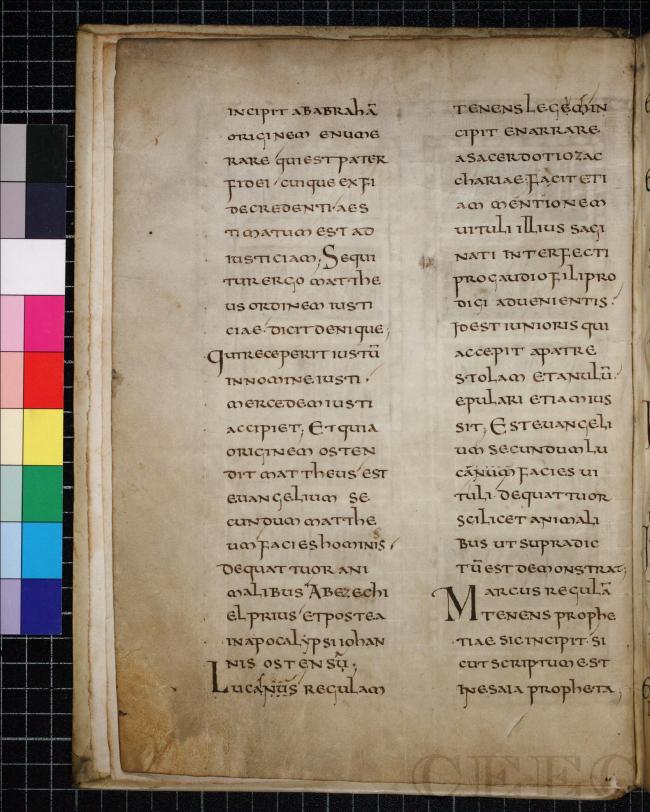 Rediscovery of the earliest Latin Commentary on the Gospels, translated into English