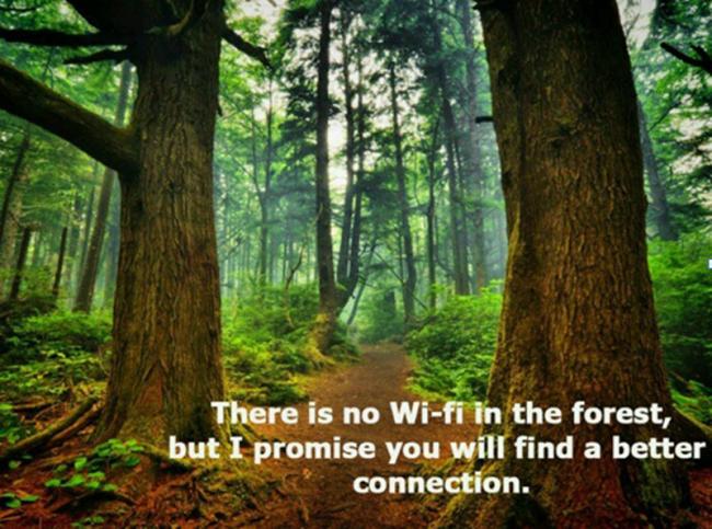 LESSONS ONE CAN LEARN WHILE ON A TRIP INTO THE WOODS