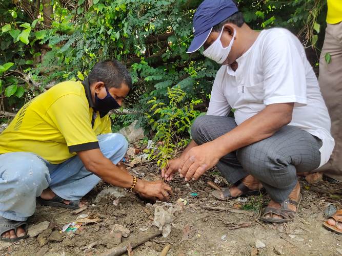 Khusheeâ€™s 'Amar Bangla Abar Sobuj Hok' initiative to plant one-lac saplings in Bengal
