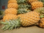 Special Exhibition of Tripura's Queen Pineapple to be Held in New Delhi