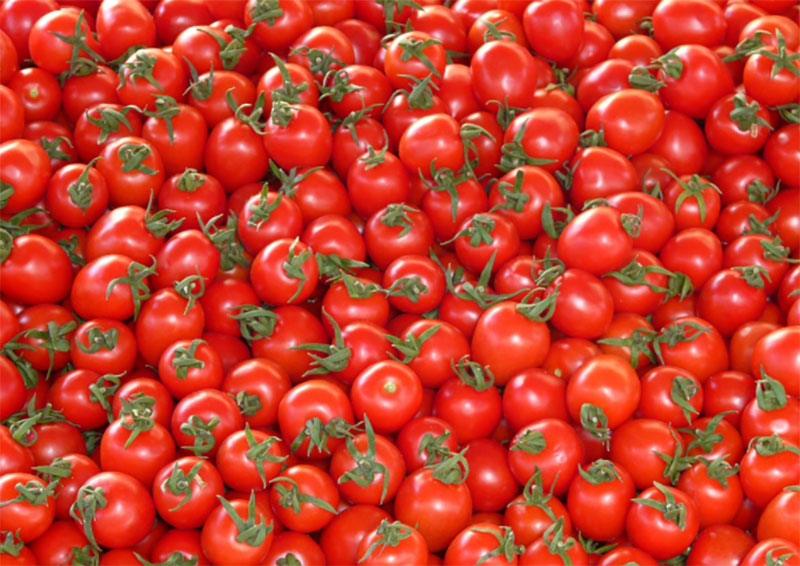Centre orders NCCF and NAFED to sell tomatoes at Rs 40/kg