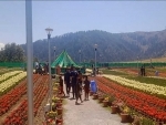 Tulips leave visitors amazed in Jammu and Kashmir's Sanasar Garden visitors