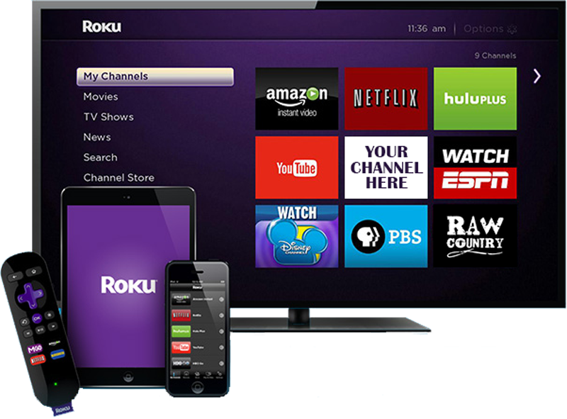 Streaming service platform Roku says cyberattack breached 576000 accounts