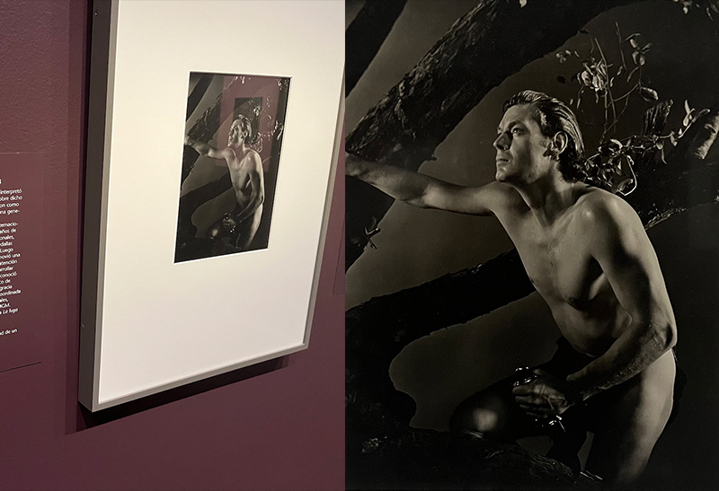 On display is a silhoutted bare torsoed Johnny Weissmuller, who played Tarzan in the 1930s