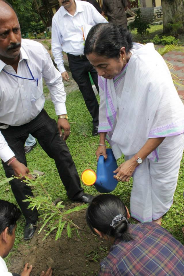 Mamata Banerjee celebrates World Environment Day 
