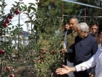Young Kashmiri entrepreneur develops J&K's first-ever high-density apple orchard