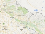 Uttarakhand wildfire under control, four arrested 