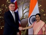 Sushma Swaraj meets Iceland's Foreign Affairs Minister Gunnar Bragi Sveinsson