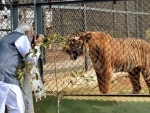 Prime Minister Narendra Modi tries his hand at wildlife photography