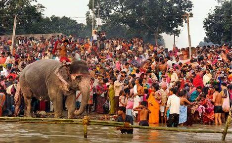 Bihar: People bathe in the holy Ganga to mark Kartik Purnima