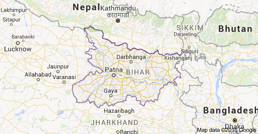 Stray dogs eat part of Bhutanese woman's body in Bihar hospital, govt orders probe