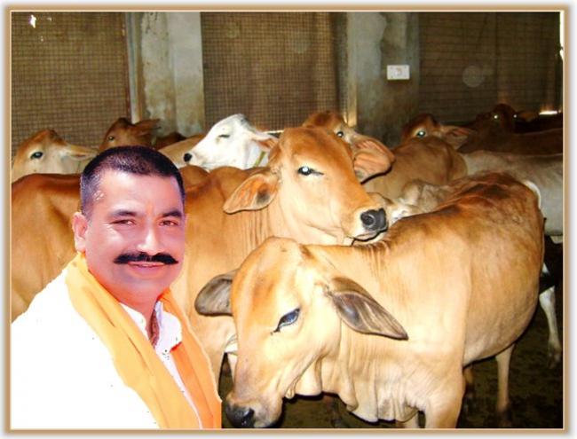 Gau Raksha Dal chief Satish Kumar arrested under Section 377
