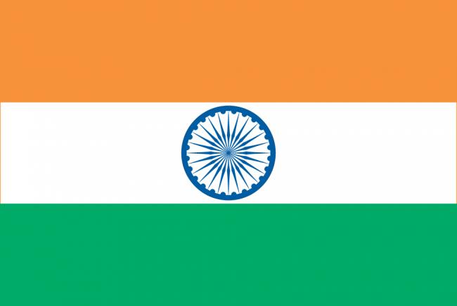 Avoid plastic made National Flag, display paper flags, dispose with dignity: MHA Advisory 