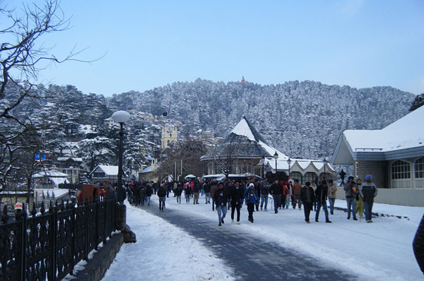 Shimla remains cut-off as heavy snowfall disrupts life
