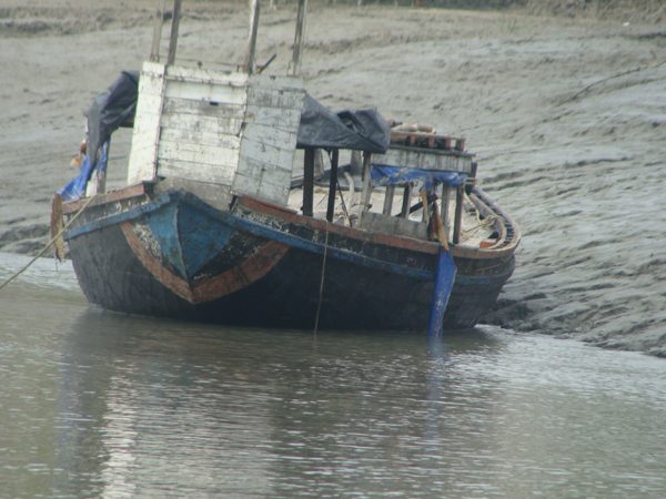 Sri Lankan Navy arrest Indian fishermen alleging breach of territorial waters 