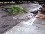 Ex-Doordarshan anchor dies after tree falls on her during morning walk
