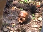 Human skeletal remains recovered in Kolkata waterhole 