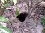 West Bengal: BSF unearths 80m secret tunnel along India-Bangladesh border