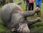 Another rhino poached in Assam, three poachers arrested
