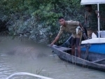 Current flood claims 229 animal lives including 15 rhinos in Kaziranga