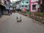 Darjeeling violence: District SP, local ICs fired, Gorkha Janmukti Morcha calls for indefinite strike