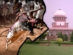 Jallikattu faces new challenge in Supreme Court