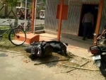 West Bengal: TMC activists allegedly attack BJP leaders' convoy in Dinhata