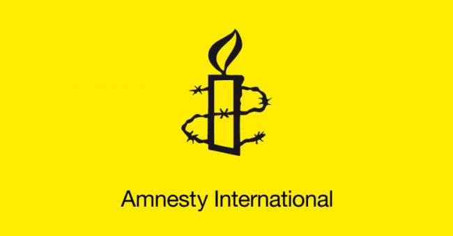 Amnesty denounces award for soldier who used human shield in Kashmir
