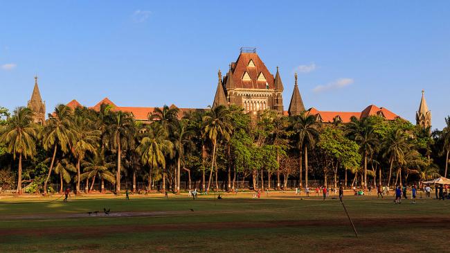 Bombay HC issues notice to BMC seeking reply on doc's death during deluge