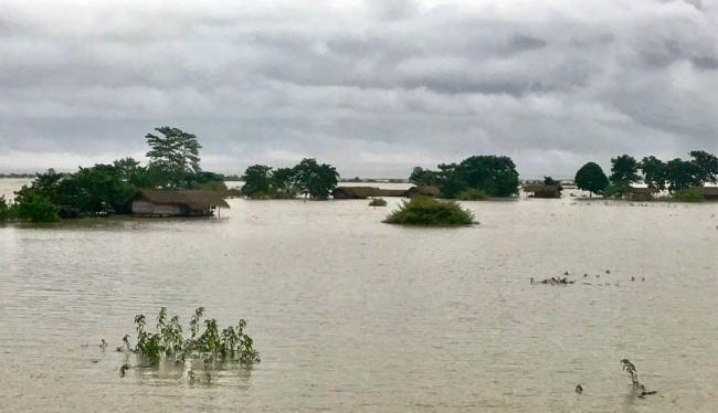 Bihar Floods displace over 9 million villagers, 230 dead as relief work picks up speed