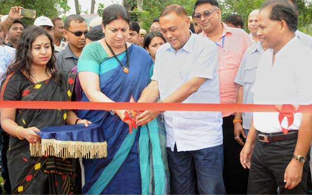 Weavers will avail a wide array of govt services from WSCs: Smriti Irani