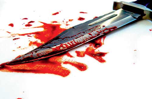 Teen confesses murdering mother, sister in Greater Noida