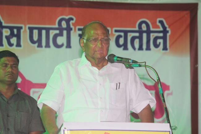 NCP to contest Gujarat poll alone, no alliance with Congress